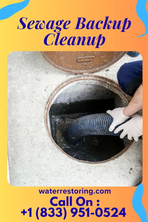 Sewage Backup Cleanup in Richardson, TX